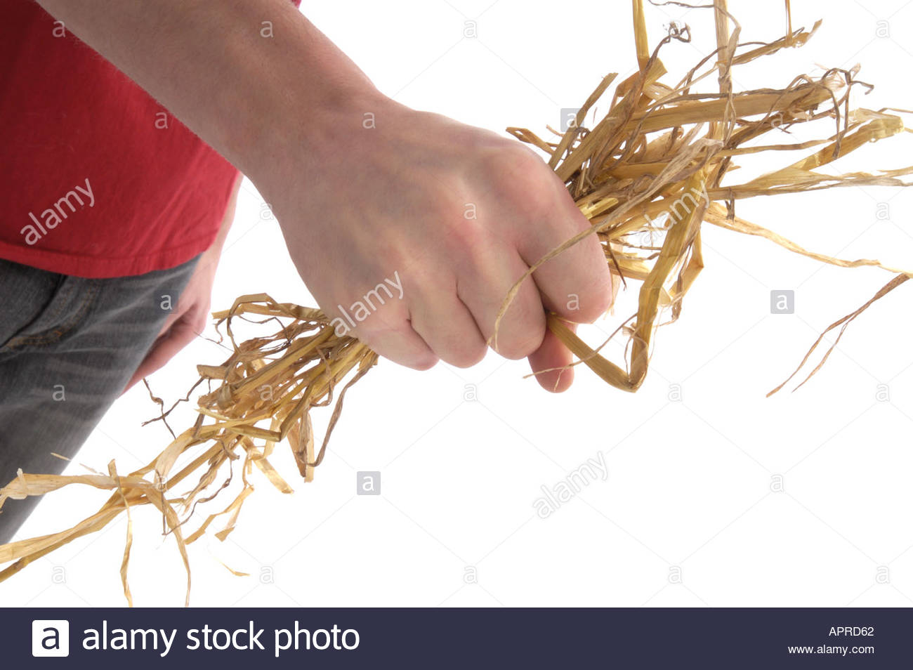 cad64507-91e0-49c8-9a76-463611b85275-image.png