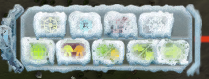dd6b1de3-9a34-43b6-9e66-77f45c247c8d-image.png