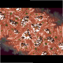 358724eb-f19d-4259-b061-6d5e854f936e-adaptive_terminus_of_hope.v0001.png