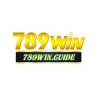 a789winguide