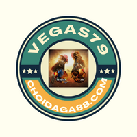 choidaga88
