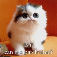Jack_Jack
